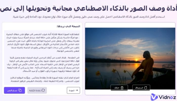 تحليل الصور Vidnoz